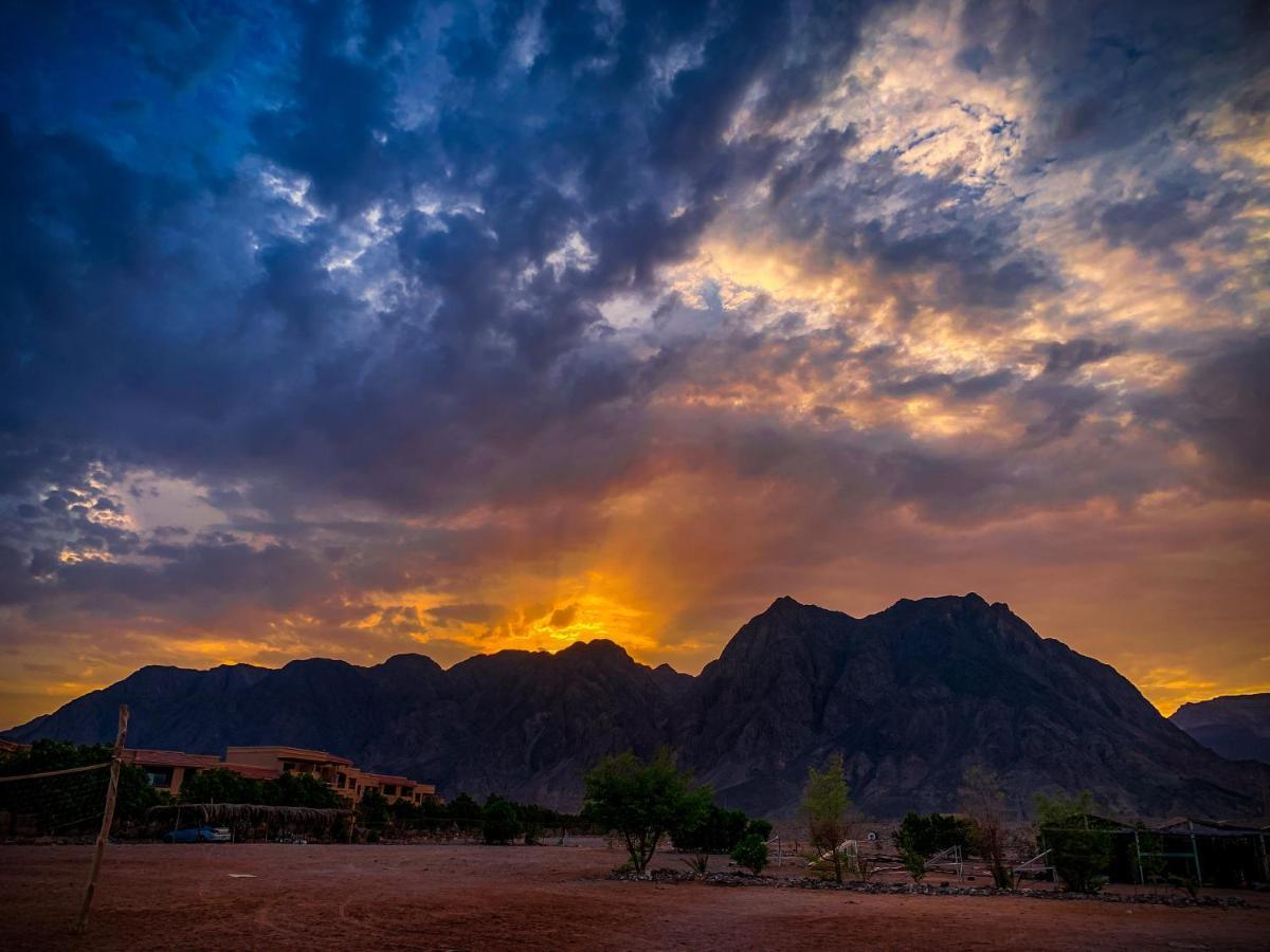 Hotel SakraTah Camp - eco friendly Taba Exterior foto