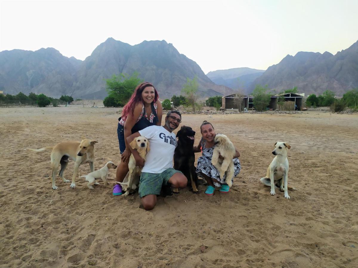 Hotel SakraTah Camp - eco friendly Taba Exterior foto